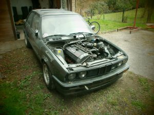E30 320i 2-Trer Delphin Metallic - 3er BMW - E30