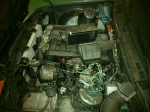 E30 320i 2-Trer Delphin Metallic - 3er BMW - E30