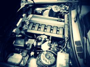 E30 320i 2-Trer Delphin Metallic - 3er BMW - E30
