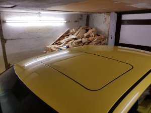 Mein kurzer gelber 325ti - 3er BMW - E36