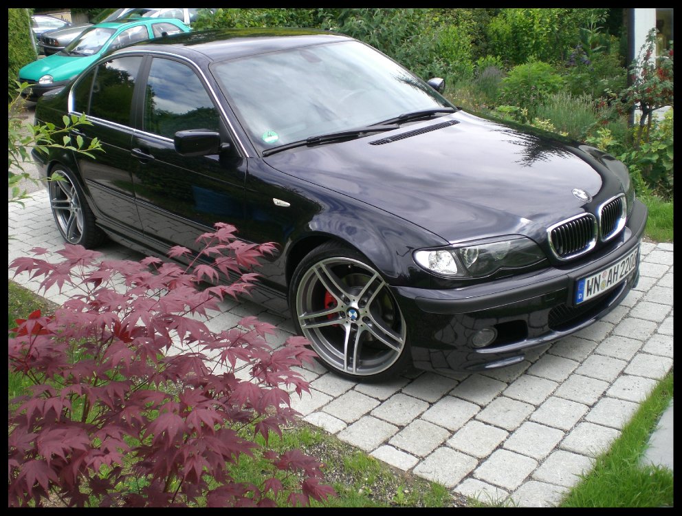 <<325i >> SPECIAL EDITION Performance313 - 3er BMW - E46