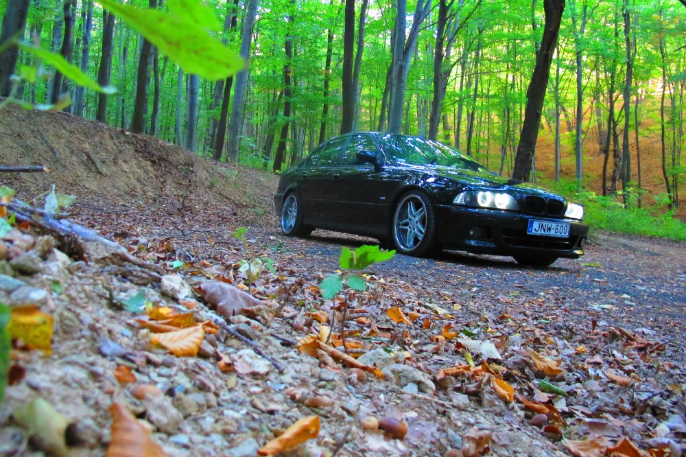 525d e39 M-Paket - 5er BMW - E39