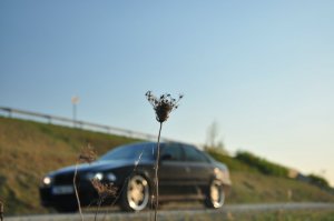 525d e39 M-Paket - 5er BMW - E39