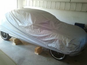 330i Umbau // ASA Kompressor // Leistungsmessung!! - 3er BMW - E46