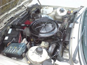 E21 315 Einfahrt Fund - Fotostories weiterer BMW Modelle E21 315 Einfahrt Fund - Fotostories weiterer BMW Modelle