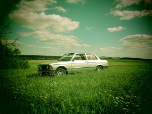 316 E21 Garagenfund - Fotostories weiterer BMW Modelle