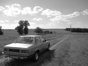 316 E21 Garagenfund - Fotostories weiterer BMW Modelle