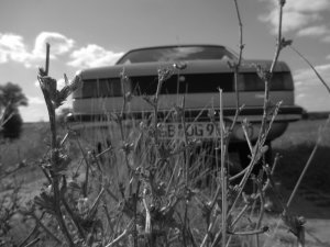 316 E21 Garagenfund - Fotostories weiterer BMW Modelle