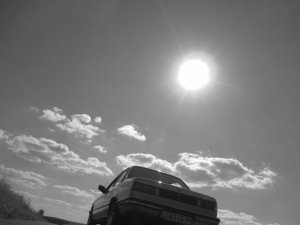 316 E21 Garagenfund - Fotostories weiterer BMW Modelle