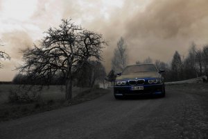 ///M539 - 5er BMW - E39
