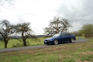 ///M539 - 5er BMW - E39