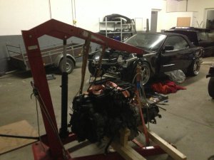 E36 Lambostyler---->goes OEM - 3er BMW - E36