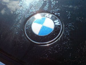 mein Lebenswerk... - 3er BMW - E36