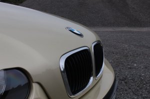 BMW 3er Pistaziengrn - 3er BMW - E46