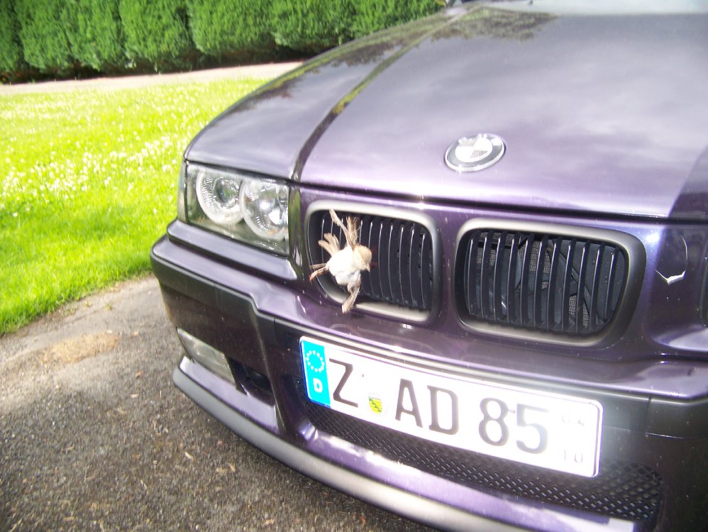 E36 328i cabrio - 3er BMW - E36