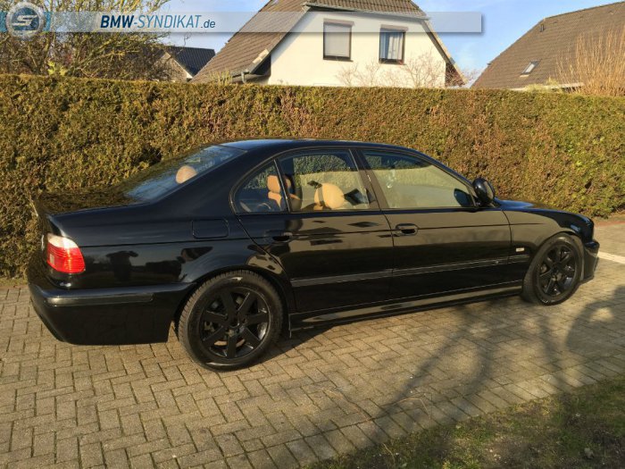 Sapphire Black 530d - 5er BMW - E39