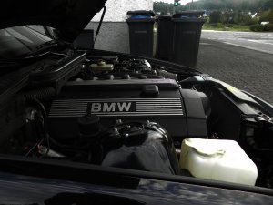 *** BMW ///M e36 323i *** - 3er BMW - E36