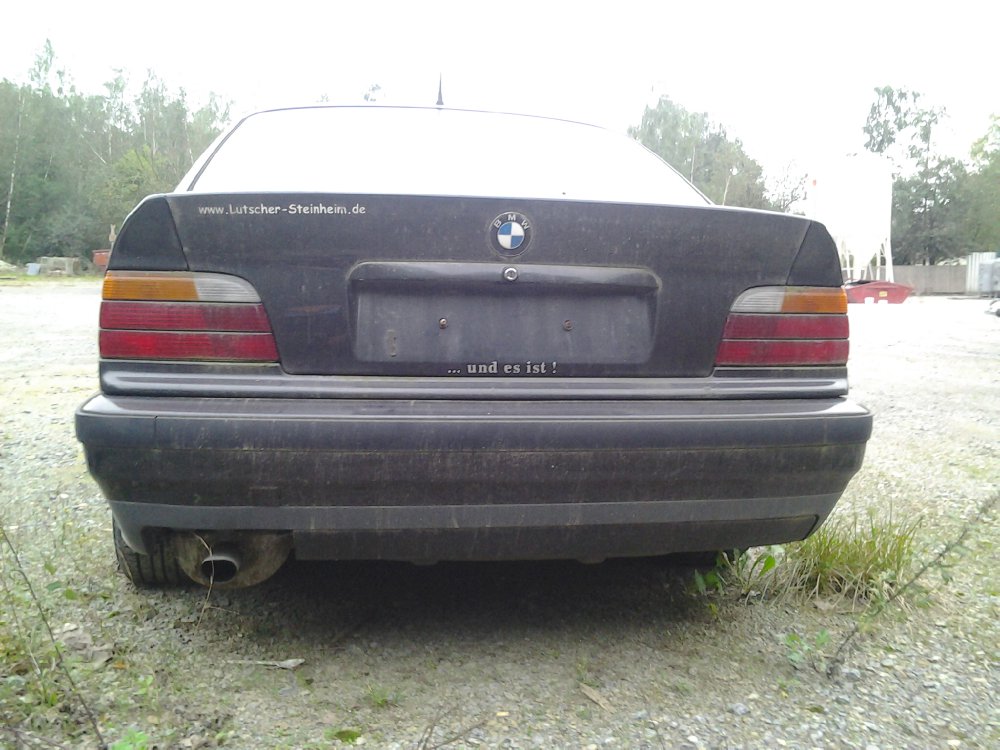 Dornrchen im Tiefschlaf!!!!! - 3er BMW - E36