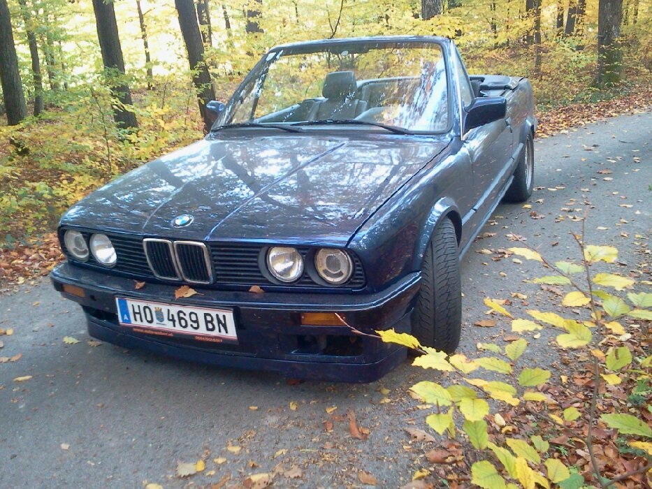 mein blauer 318i - 3er BMW - E30