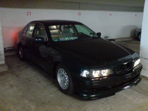 e39 "the Shark" - 5er BMW - E39