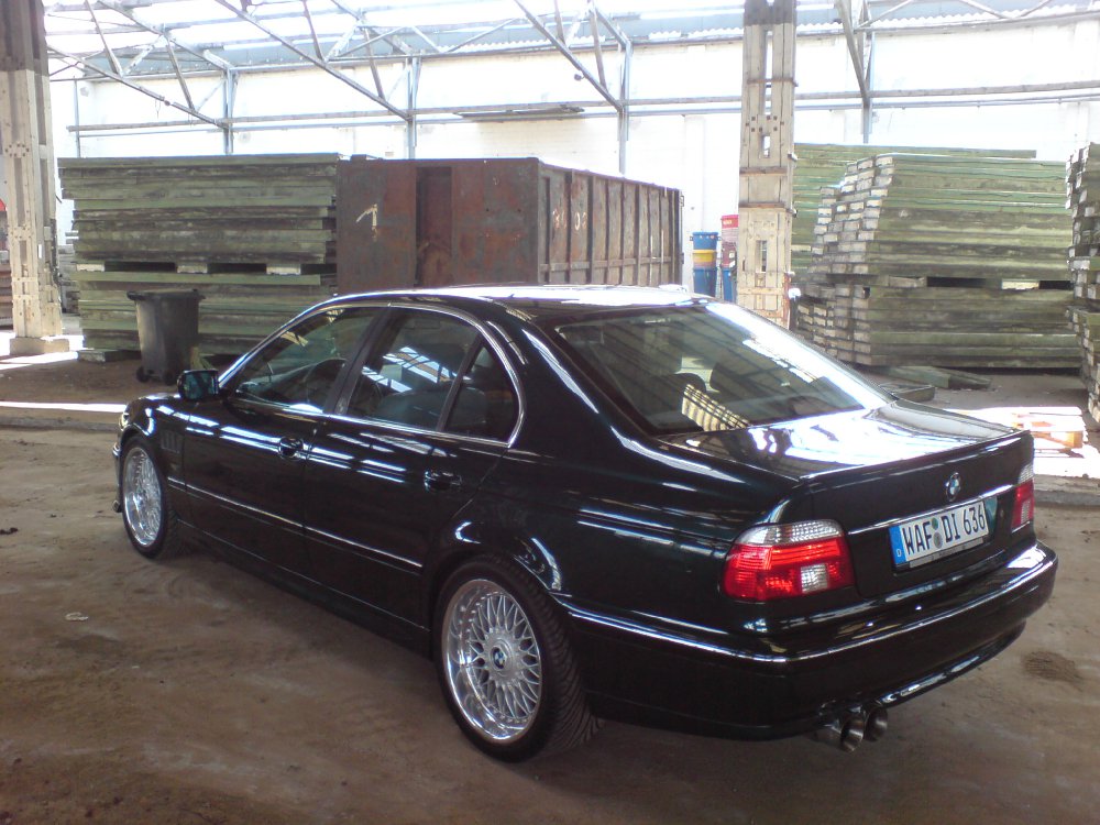 e39 "the Shark" - 5er BMW - E39