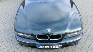 e39 "the Shark" - 5er BMW - E39