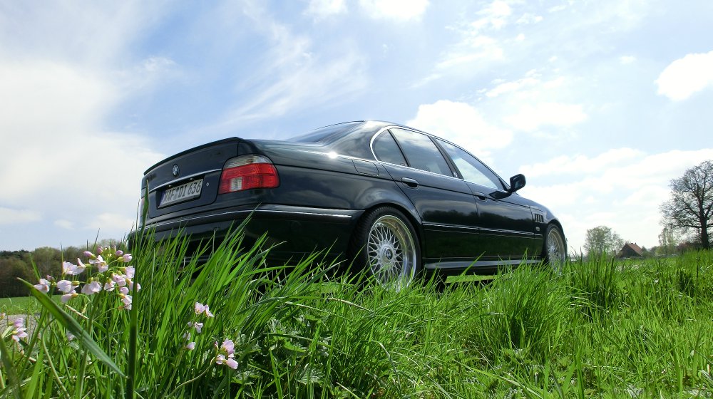 e39 "the Shark" - 5er BMW - E39