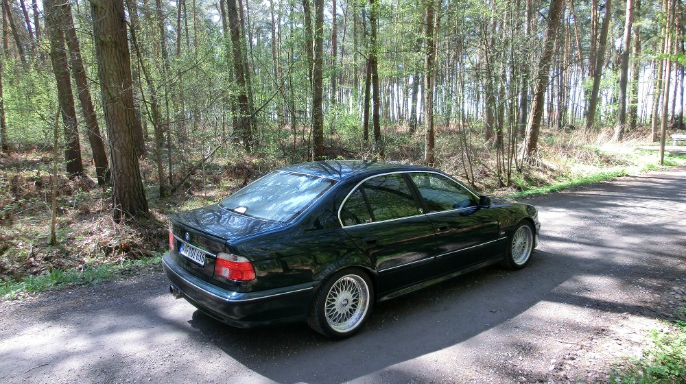 e39 "the Shark" - 5er BMW - E39