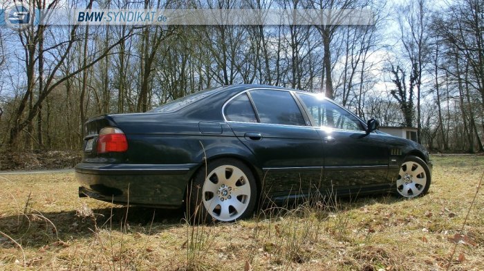 e39 "the Shark" - 5er BMW - E39