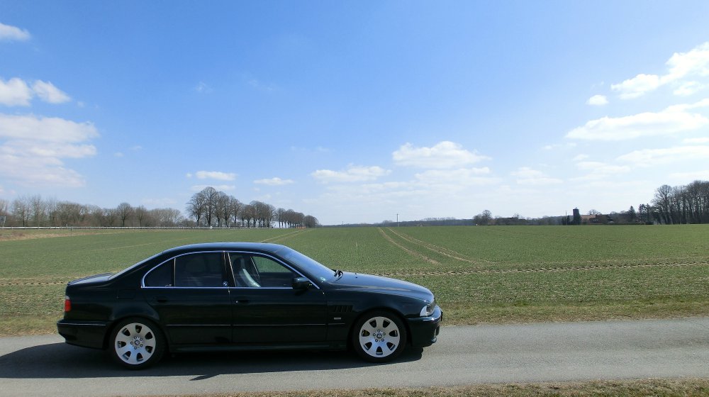 e39 "the Shark" - 5er BMW - E39