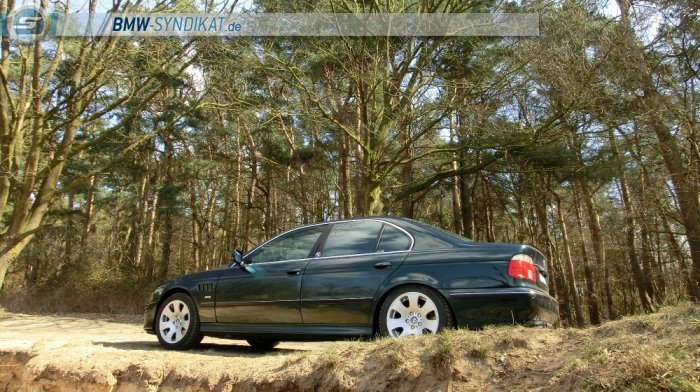 e39 "the Shark" - 5er BMW - E39