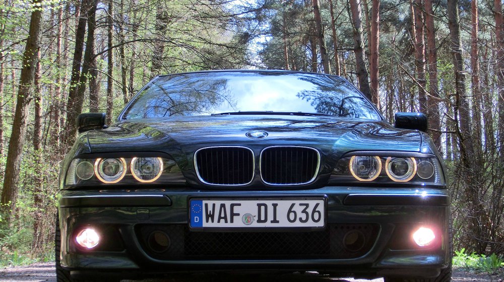 e39 "the Shark" - 5er BMW - E39