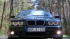 e39 "the Shark" - 5er BMW - E39 - 72.JPG