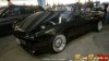 V8 Cabrio - 3er BMW - E30 - image.jpg