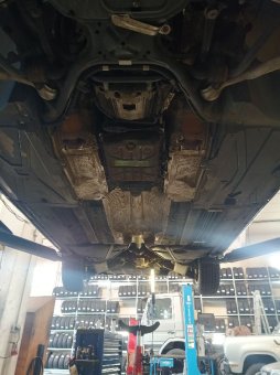 Ein V8 für alle Fälle! - 5er BMW - E39 Ein V8 für alle Fälle! - 5er BMW - E39