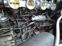 e36 318iss Coup� - 3er BMW - E36 - 20250315_194701.jpg