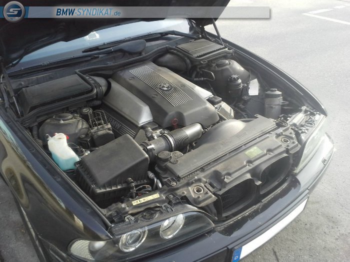 Ein V8 für alle Fälle! - 5er BMW - E39