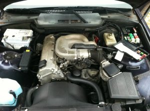 BMW E36 316i Coupe Madeiraviolett Unverbastelt - 3er BMW - E36