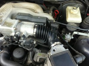 BMW E36 316i Coupe Madeiraviolett Unverbastelt - 3er BMW - E36