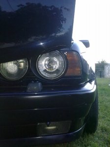 E34, 530i V8 - 5er BMW - E34