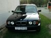E34, 530i V8 - 5er BMW - E34 - Fotografija0414.jpg