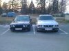 E34, 530i V8 - 5er BMW - E34 - IMG_0086.JPG