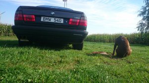BMW E34 540i Individual - 5er BMW - E34