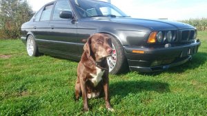 BMW E34 540i Individual - 5er BMW - E34