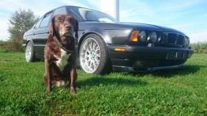 BMW E34 540i Individual - 5er BMW - E34