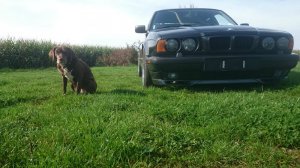 BMW E34 540i Individual - 5er BMW - E34