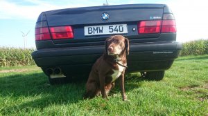 BMW E34 540i Individual - 5er BMW - E34