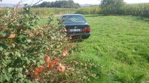 BMW E34 540i Individual - 5er BMW - E34