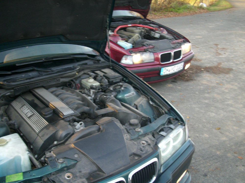 OEM in green - 3er BMW - E36