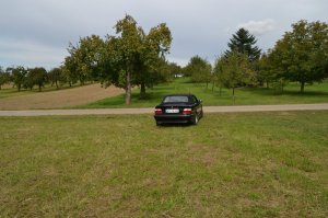 E36 320i Cabrio - 3er BMW - E36 E36 320i Cabrio - 3er BMW - E36